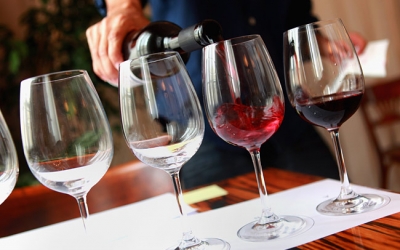 wine-tasting-carlingford