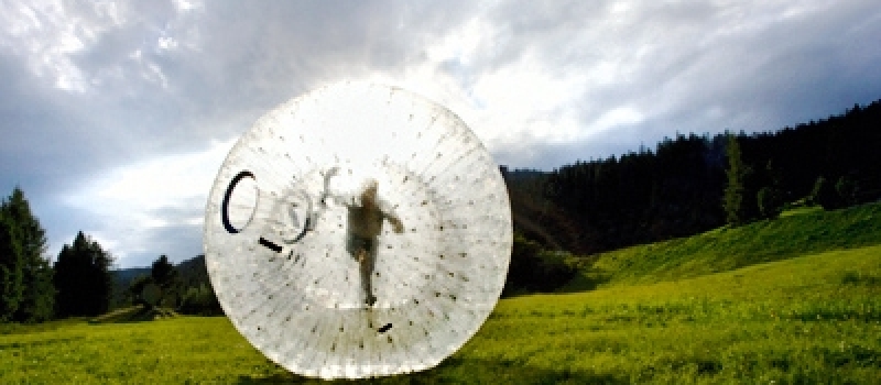 d_10004-zorbing