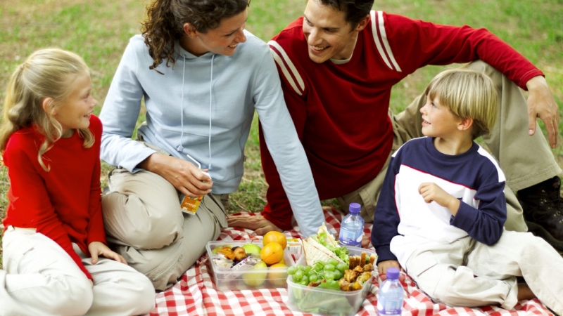 Mother Father Son and Daughter (8-11) Having a Picnic and Chatting